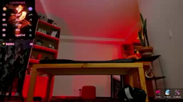 missariadna2 webcam