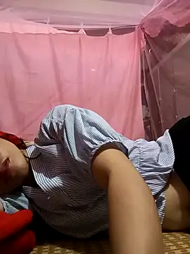 Hiniyk2 webcam