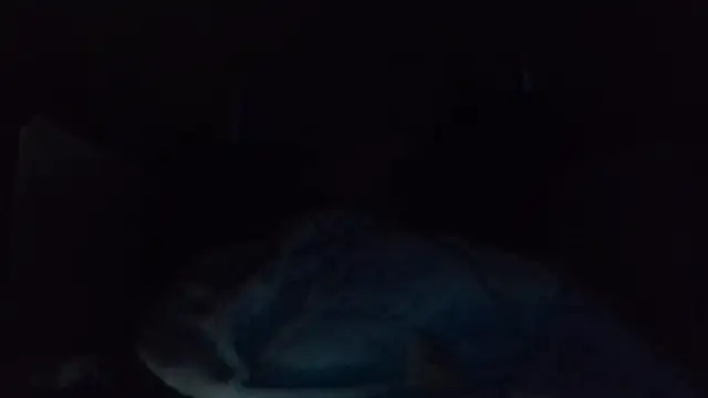 shag369 webcam