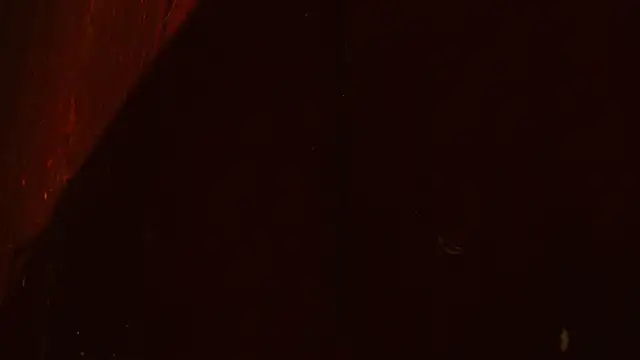 Gigadickman webcam