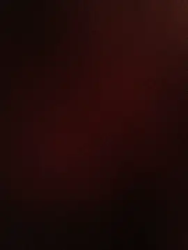 69_SINNS webcam