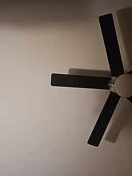 SkyelarsWorld webcam