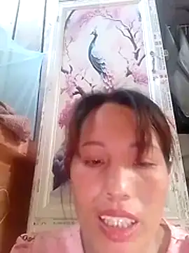 Gummiesu webcam