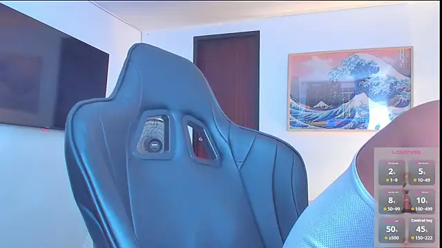 RJBarto webcam