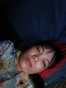 Sana-vn webcam