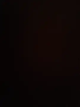 69_SINNS webcam