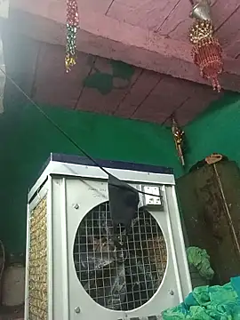 Sangam_rathor webcam