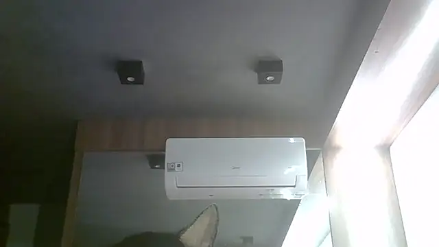 SkinnyKitten webcam
