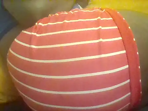 Thand03 webcam