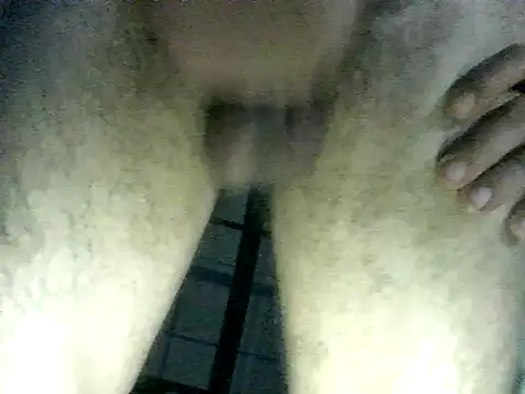 thomas2wood webcam