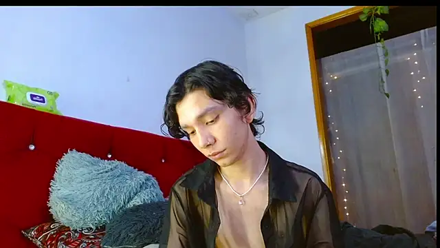 LAICK_01 webcam