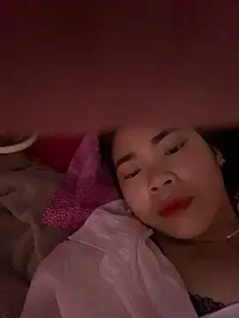 Nul_chal webcam