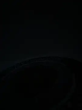 sereiaruiva99 webcam