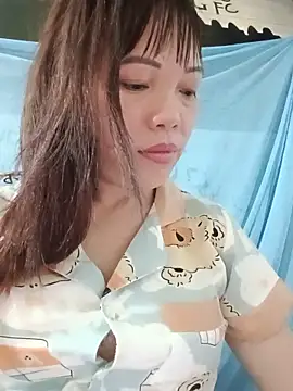 Sana-vn webcam