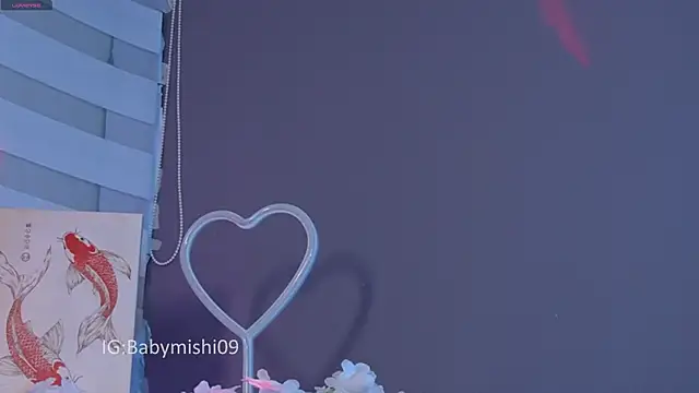 Babymishi webcam