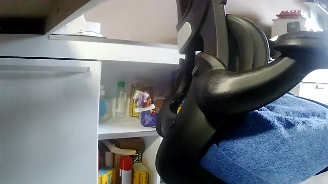 suedel65 webcam