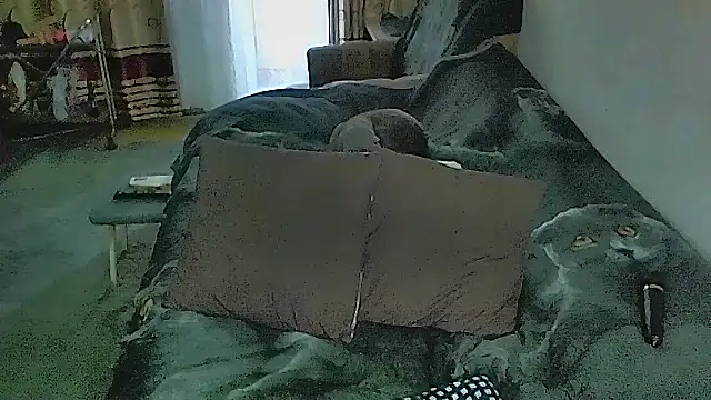 sex2 webcam