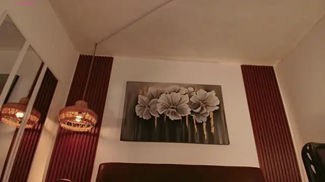 Alice-blaker webcam