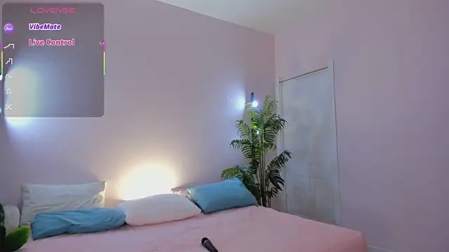 Sowetly webcam