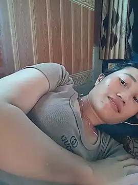 CML93 webcam