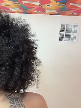 FerrariFrench webcam