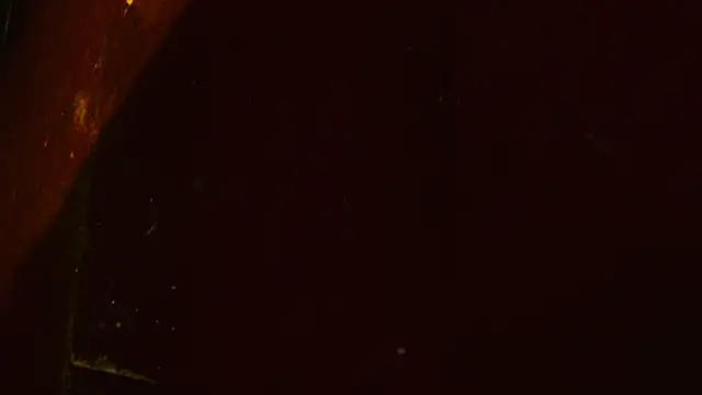 Gigadickman webcam