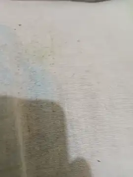 Maniasefetiches webcam