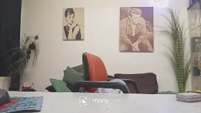 der_dino30 webcam