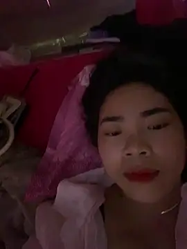 Nul_chal webcam