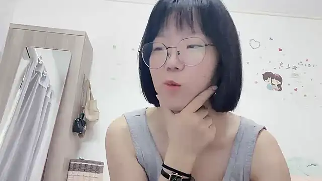 Belle-LL webcam