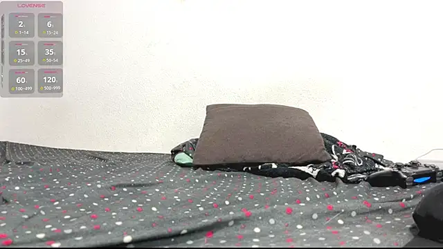 logan_x3 webcam