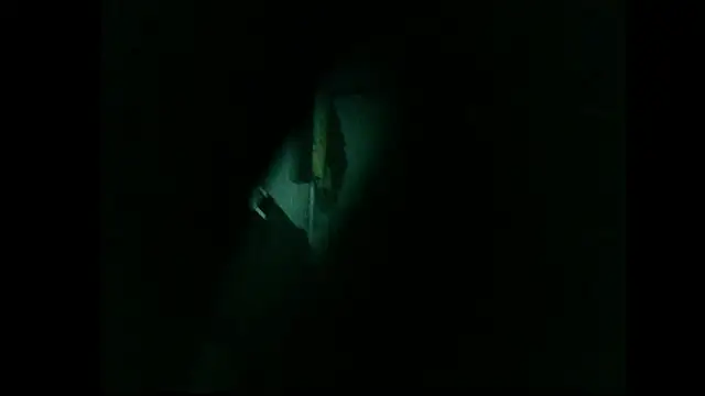 danistrial webcam