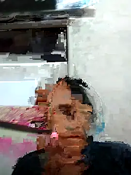 Loomaraj webcam