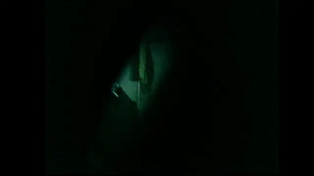 danistrial webcam