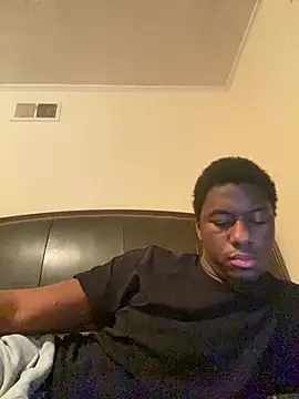 ThickDic28 webcam