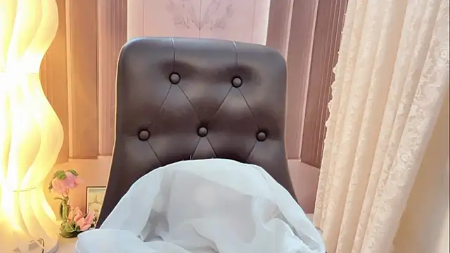 Shenlly webcam