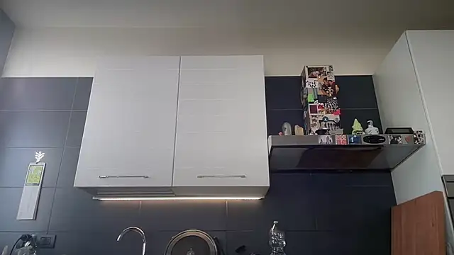 theitalianbear webcam