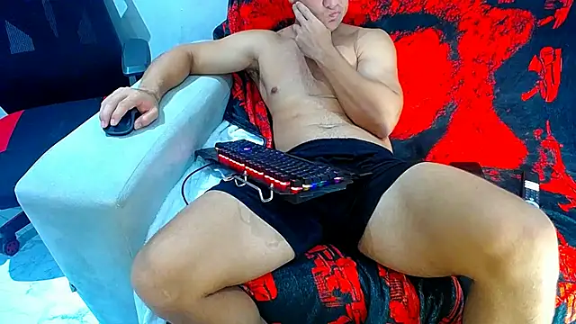 hugo_19cm webcam