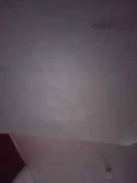 ItsmeNikitaDragon webcam