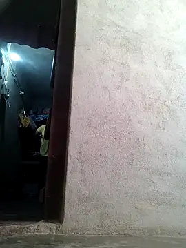 mvp-019 webcam