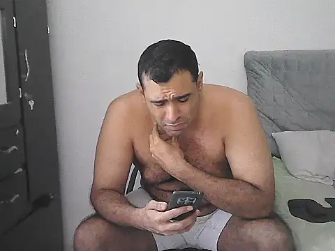 IronSideBear webcam