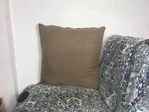 velvetvista webcam
