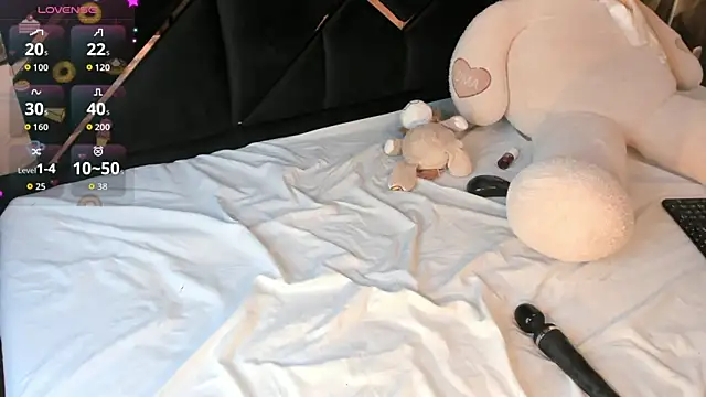 KaelSoft_ webcam