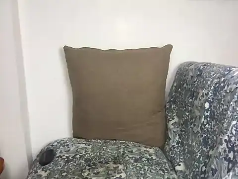 velvetvista webcam