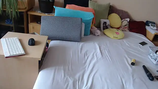 Dorina webcam