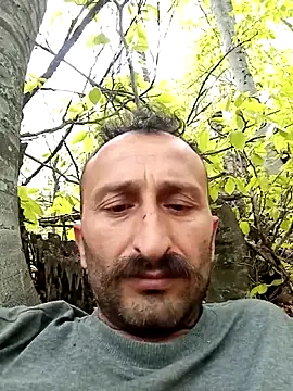 Yaramaz331