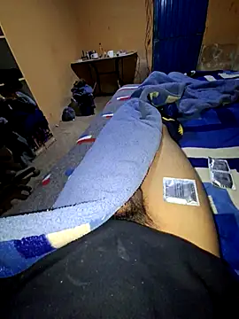 pollin_10 webcam
