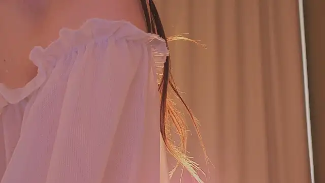 Alice-Lidel webcam