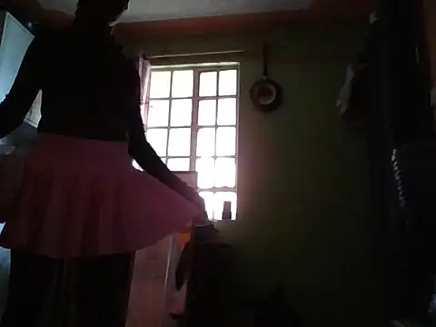 Pri-debie98 webcam
