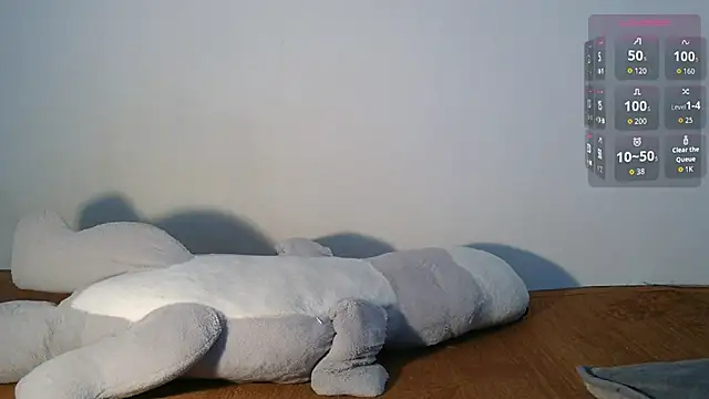 Geofeey webcam